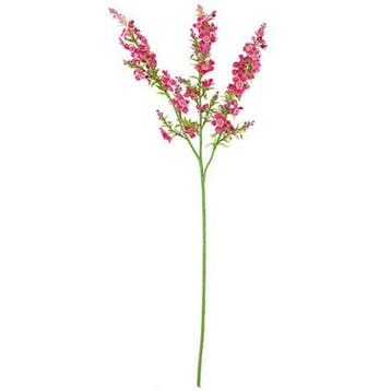 Chloe Kattenmunt Beauty Zijdenbloem 75 cm per stuk, Nieuw