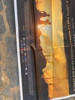 MONDOCANE - MONDOCANE - MONDOCANE - NO RESERVE PRICE!, Collections