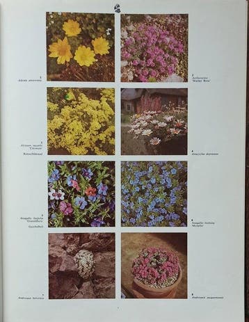 2000 Tuin/Kas en Kamerplanten in Kleur - Hay, Verzenden