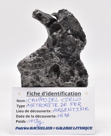Uitzonderlijk Campo del Cielo, uitstekende sculpturale vorm,, Collections