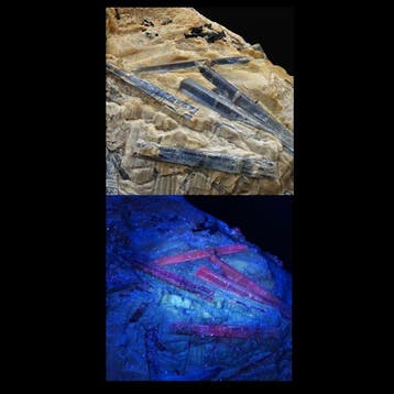 ALPINO, CIANITE AZZURRA en GEMMOSA, Zwitserland! UV ROOD