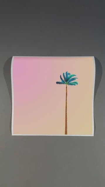 Téber - Strawberry Mint Palm · No Reserve