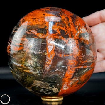 Natuurlijke versteende houten bol met Achat-kwartsdrusen uit, Verzamelen, Mineralen en Fossielen