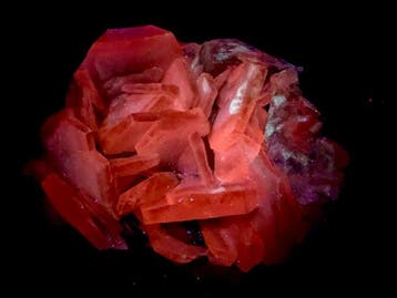 Absolument fantastique et lumineux, calcite « poker chip ».