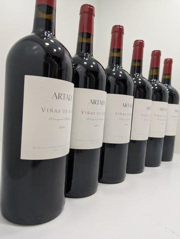 2021 Artadi, Viñas de Gain - Rioja - 6 Magnums (1,5 l)