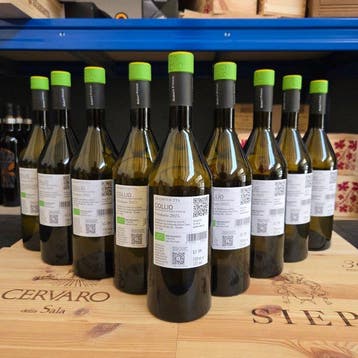 2025 Gradisciutta, Friulano - Friuli-Venezia Giulia - 9, Verzamelen, Wijnen, Nieuw