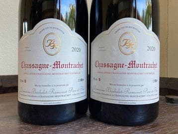 2024 Domaine Bachelet-Ramonet rouge - Chassagne-Montrachet -, Verzamelen, Nieuw
