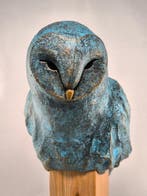 Federico Alibrio - The Nocturnal Guardian - Barn Owl