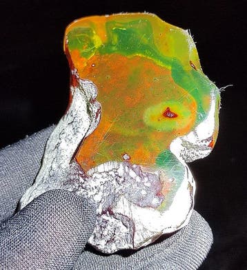 Mexicaanse barnsteen Chiapas!! AAA Geen minimumprijs- 33 g