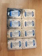 Western Digital WD Caviar Blue - Computersoftware (8) - In, Nieuw