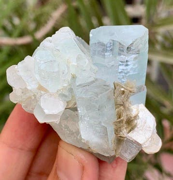 Aquamarijnkristallen bundel met mica Mineralencollectie -, Verzamelen