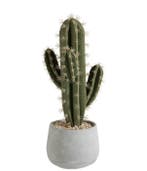 Decoratief ornament - Decoratieve cactus in pot