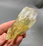 Knzite cristal clair naturel bicolore, taillé à leau, à