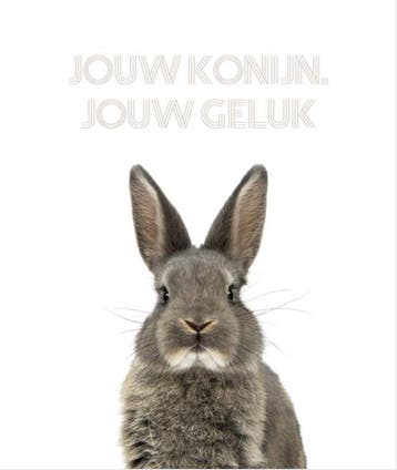 Jouw konijn, jouw geluk 9789083031507 Vianne Scharloo, Verzenden, Vianne Scharloo