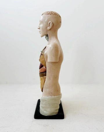 Anémomètre - Plâtre, papier mâché - 1910-1920