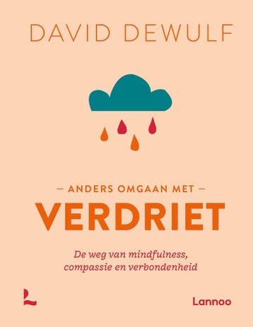 Anders omgaan met verdriet 9789401484558 David Dewulf, Boeken, Verzenden, Zo goed als nieuw, David Dewulf