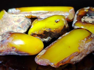 Baltisch amber – Hoge kwaliteit AAA, gratis verzending- 67 g