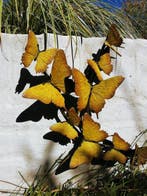 sculptuur, Butterfly wall art - 50 cm - Brons