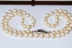 Zonder minimumprijs - Other brand - Halsketting Akoya-parels, Nieuw