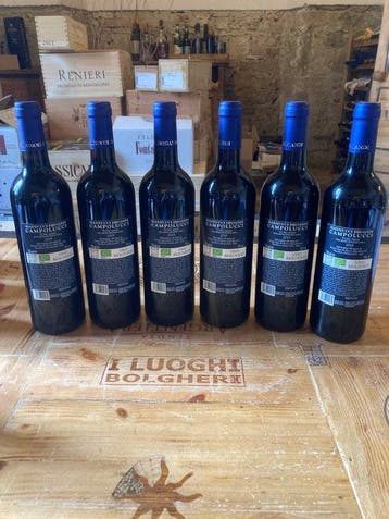 2019 Mannucci Droandi Campolucci - Toscane IGT - 6 Flessen, Nieuw