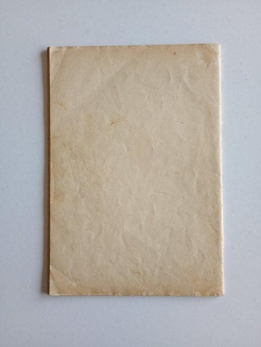 Nero - De juwelen van Gaga-Pan - 1 Album - Eerste druk -, Boeken, Stripverhalen