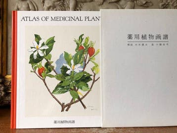 Tatsuo Karimae and illustrated by Ryohei Koiso. - Atlas Of