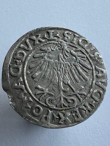 Polen, Litouwen. Zygmunt II August. Pógrosz Wilno 1557 *, Postzegels en Munten