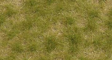 Busch - Grasbuschel Zweifarbig Kurz Spatsommer 4 Mm - BU3533, Hobby en Vrije tijd, Modelbouw | Overige, Verzenden