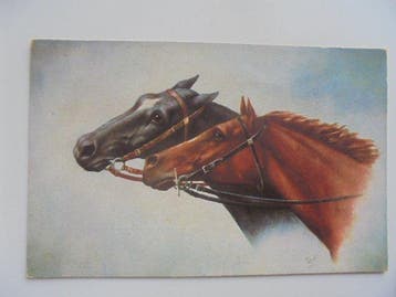 Les chevaux - Carte postale (50) - 1900-1980