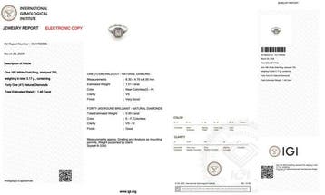 Ring - 18 karaat Witgoud - 1.46ct. tw. Diamant (Natuurlijk)