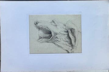 Franse school (XVIII) - Portrait d’un Chien nerveux (Vendu