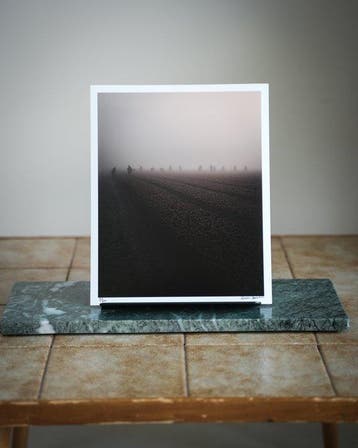Gosse Bouma - THE TULIPS, Antiek en Kunst