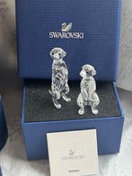 Swarovski - Swarovski (1974) - sculptuur, Exotische Wilde