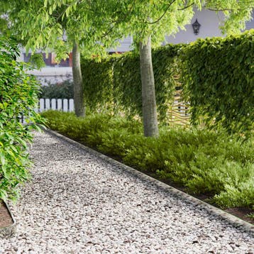 vidaXL Gazonrand 50 st 103 x 10 cm Staal zilver, Verzenden, Nieuw