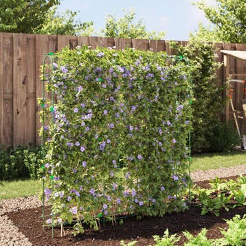 vidaXL Plantenklimrek U-vorm 181x31x182,5 cm staal, Verzenden, Nieuw