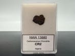 CR2, met condrulo Armado NWA 13880 Condriet Carbonaceuze -