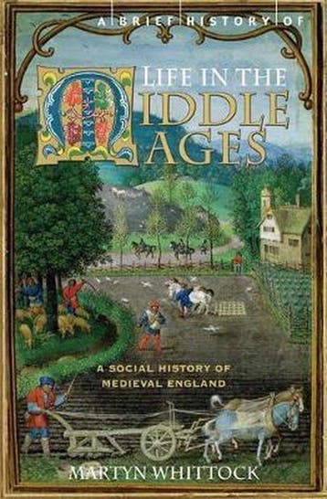 A Brief History of Life in the Middle Ages 9781845296858, Verzenden, Gelezen, Martyn Whittock
