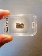 NWA 18153 Lunar meteorite - thin section - 0 g