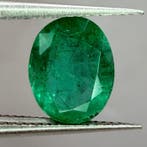 Sans prix de réserve - 1 pcs Vert Émeraude - 2.20 ct -