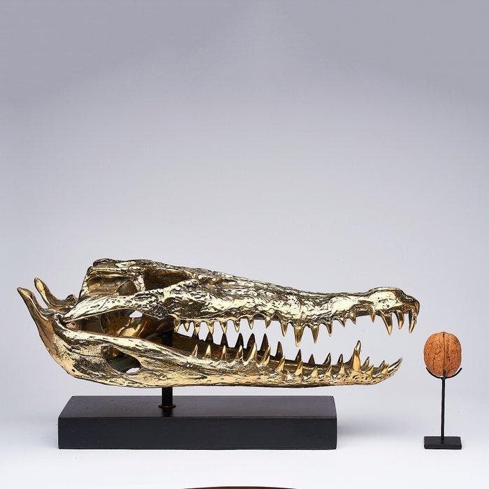 sculptuur, Saltwater Crocodile Skull fashioned in bronze, on, Antiquités & Art, Curiosités & Brocante