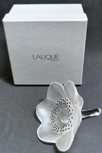 Lalique - Presse-papiers - Anémone avec boîte - Cristal