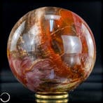 Natuurlijke sfeer of versteend hout- 1704.08 g, Verzamelen