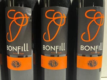 2006 Celler Arché Pagès, Bonfill - Empordà - 6 Bouteilles, Nieuw