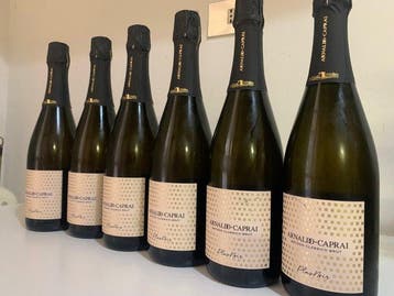 Metodo Classico Plus Noire - Umbrië - 6 Flessen (0.75 liter), Nieuw