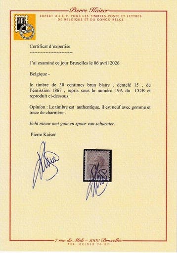Belgique 1867 - 30c brun - Léopold Ier en profil - avec