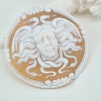 Cassis madagascariensis - Cameo - Handgesneden camee
