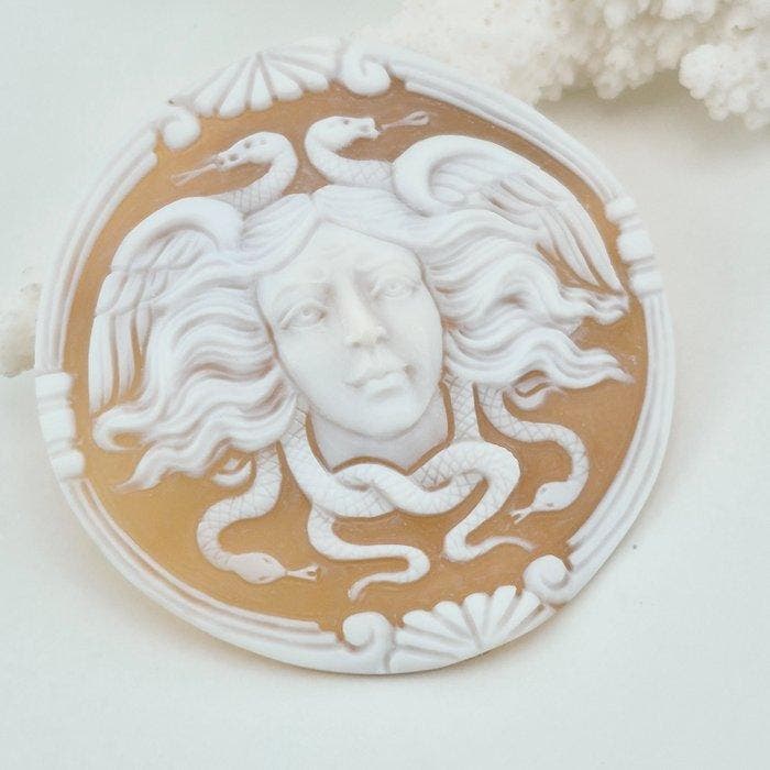 Cassis madagascariensis - Cameo - Handgesneden camee, Antiek en Kunst, Curiosa en Brocante