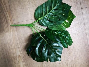 Monstera Blad Medium Zijdenbloem Botanical Style