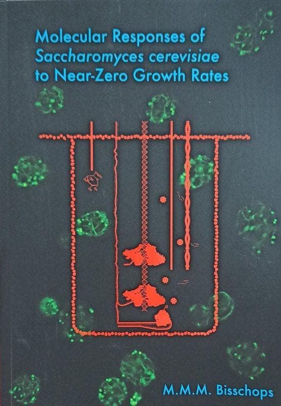 Molecular responses of saccharomyces cerevisiae to near-zero, Boeken, Taal | Engels, Zo goed als nieuw, Verzenden