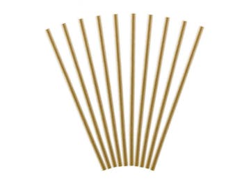 Papieren Rietjes Karton 19,5cm 10st, Verzenden